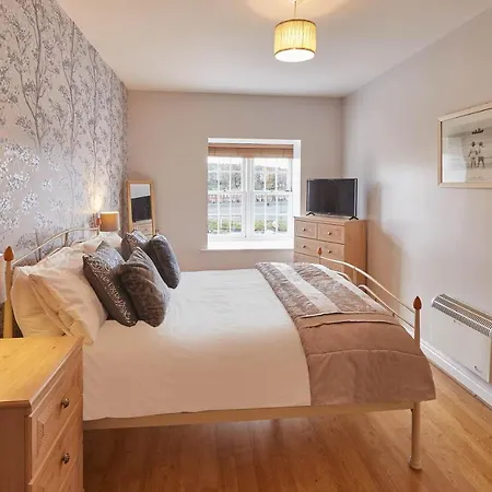 Host & - Seal Watch *